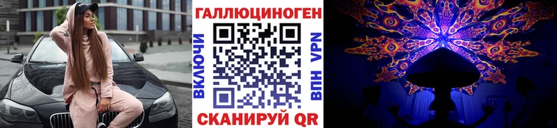 закладка  Новоалтайск  Псилоцибиновые грибы ЛСД 